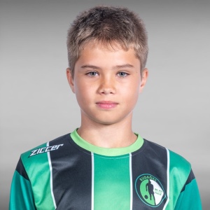 csebfalfi_davidu12