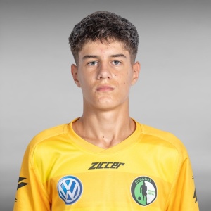 svendor_andras