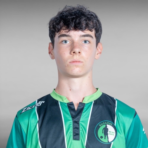 ladanyi_zsadany