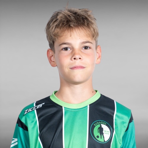 molnar_davidu12