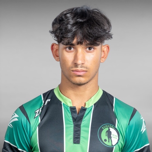 wortmann_pal